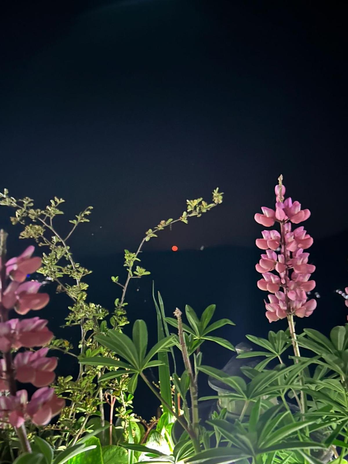 Murmincho Homestay Darjeeling  Esterno foto